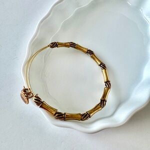 Alex and Ani Gold Bamboo Beaded Bracelet